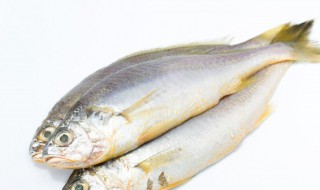 空气炸锅烤鱼（空气炸锅烤鱼用锡纸吗）