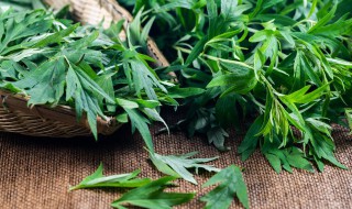 碎艾草怎么烧（艾草怎么搞碎）