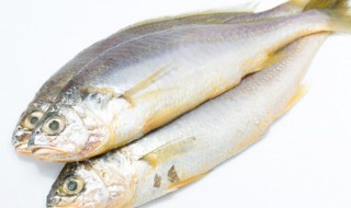怎么烧清汤鱼（怎么烧清汤鱼才好吃）