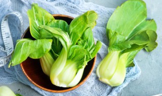 青菜的种植方法 四月慢青菜的种植方法