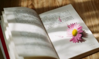 前的组词 前的组词和笔顺