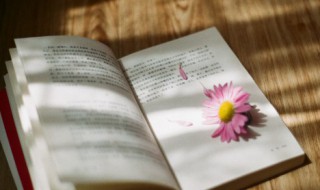 敕勒怎么读 敕勒歌