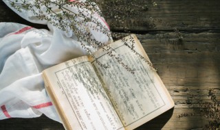 绘怎么读（飧怎么读）