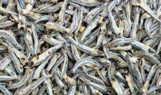 海蜒干怎么做好吃法（海蜒干的营养及功效）