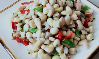 菱角肉怎么做好吃法 菱角肉怎么做好吃法大全