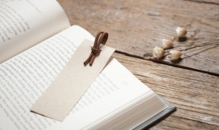 讽组词（讽组词和拼音）