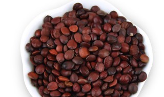 山枣仁怎么吃治失眠 失眠偏方一夜见效