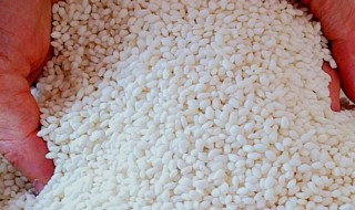 江米怎么吃（江米怎么吃怎么蒸）