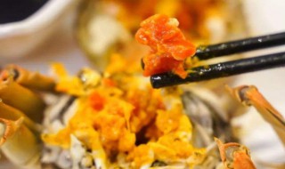 蟹醋怎么吃（蟹蒸多少分钟可以熟）