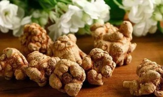 三七怎么吃效果最好(三七什么时候吃最好)