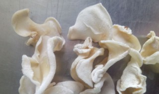玉木耳怎么吃 玉木耳怎么做好吃