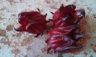 红桃k果怎么吃（红桃k果怎么吃补血效果好）