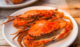 螃蟹蒸好怎么吃 螃蟹怎么蒸好吃蒸几分钟