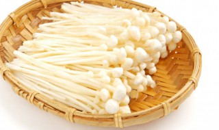 金针磨怎么炒好吃 金针磨炒什么好吃