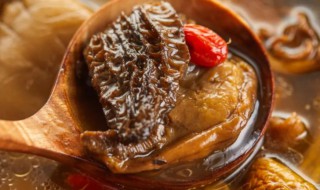 干羊肚菌怎么吃 干羊肚菌怎么吃营养最好