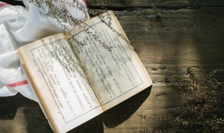 与世无争下一句是啥 看淡一切无所谓的句子