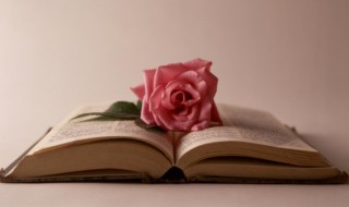 男人三十一枝花下一句（男人三十一枝花下一句成语）