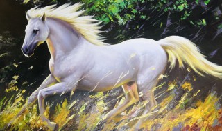 白龙马的性格特点 白龙马的性格特点四字词语