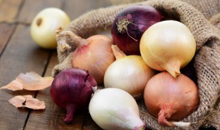 洋葱的英语怎么读(洋葱的英语怎么读onion)
