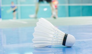 羽毛球英文怎么读（羽毛球英文怎么读basketball）