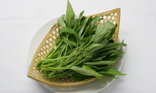 青青菜的吃法技巧（青青菜的吃法大全）