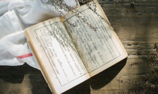 2022年什么命 2022年什么命五行属性