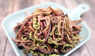 山蕨菜的家常做法 山蕨菜的家常做法视频