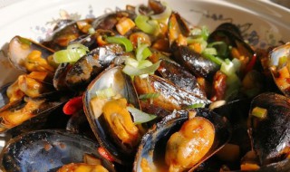 海虹的家常做法 海虹家常做法王刚?