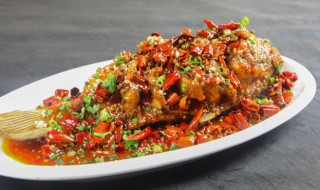 酱烧鲫鱼的做法（酱烧鲫鱼的做法视频）