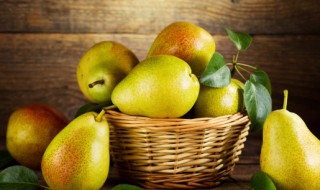 新玉梨品种介绍（新玉早蜜梨品种介绍）