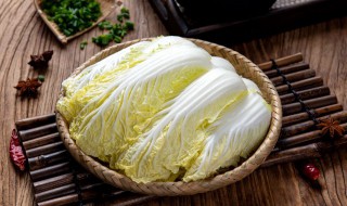 肉末蒸娃娃菜的做法（肉末蒸娃娃菜的做法大全）