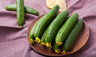 黄瓜凉拌猪头肉的做法 黄瓜凉拌猪头肉的做法窍门