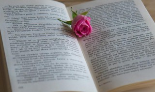 销售团队队名队呼 销售团队队名队呼口号(最新版