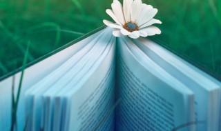 ?微信名字2021最好听 2022年微信名字