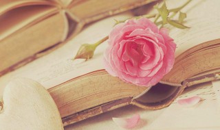 诗书气质的名字女孩 女孩子腹有诗书气自华的名字