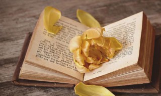 网名大全最新版的 网名大全1000个