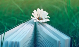 快手名字女生优雅可爱（女生网名简单干净）