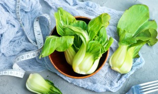 九月适合种植什么蔬菜和水果（九月适合种些什么蔬菜）