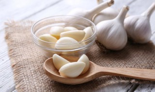 大蒜专用肥料（种蒜上什么肥料效果最好）