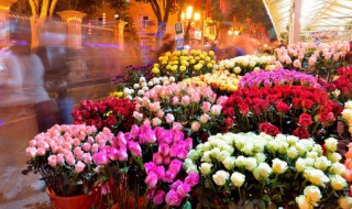 送亲人送什么花（送亲人送什么花好）