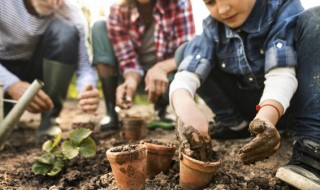 墨兰叶片有黑斑如何进行解决（墨兰叶片有黑斑点是什么毛病）