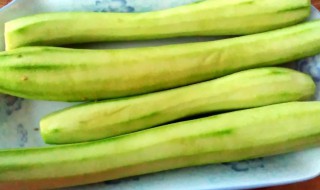 如何挑选丝瓜不老（如何挑选丝瓜不老的窍门）