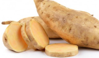 红薯盆栽的种植方法（如何盆栽红薯）