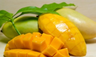 青芒怎么催熟不会烂（青芒怎么变熟）