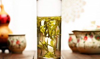 茶叶浇花的正确方法 茶叶浇花的正确方法是什么