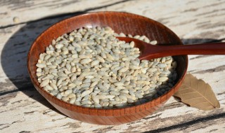 青稞如何吃 食材_青稞的吃法窍门