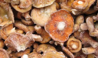 谷熟菌和铜绿菌区别(谷熟菌和铜绿菌区别在哪)