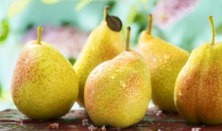 秋月梨网架应该怎样架（秋月梨网架技术）