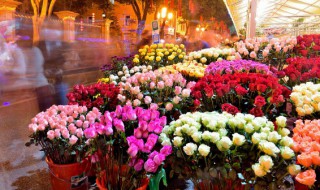 月季花凋谢后有个果子是什么(月季花凋谢后有个果子是什么品种)