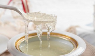 燕窝的家常吃法 燕窝吃法做法大全